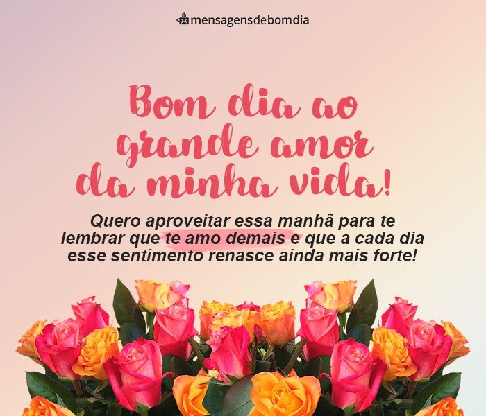 Bom Dia Amor da Minha Vida!