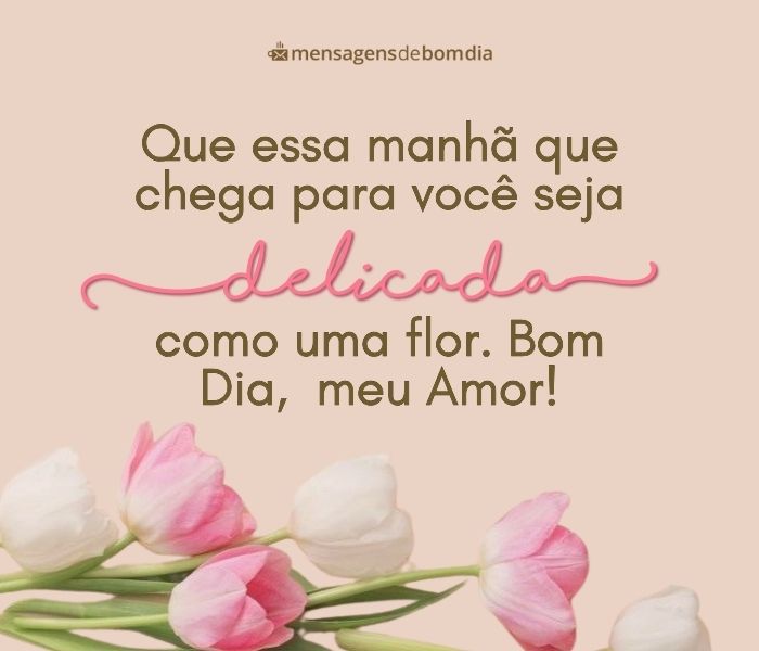 Bom Dia Amor