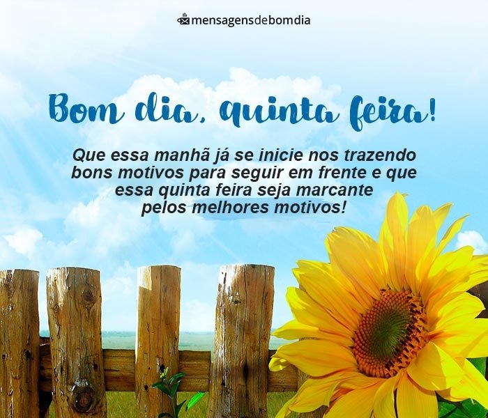 Bom Dia Quinta-Feira