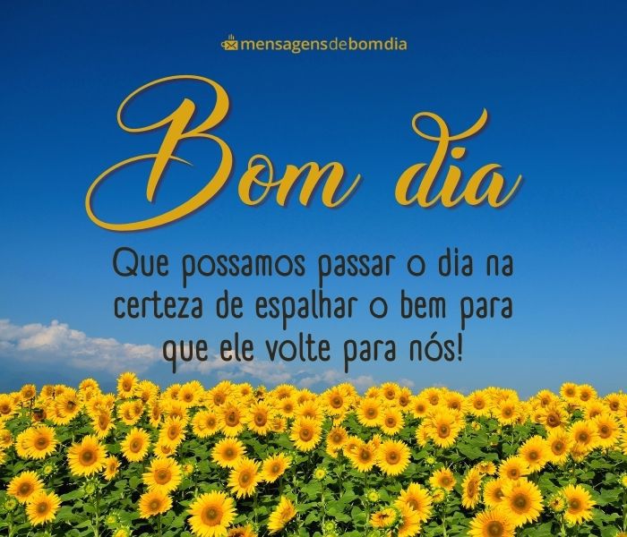 Bom Dia Quinta-Feira