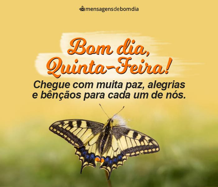 Bom Dia Quinta-Feira