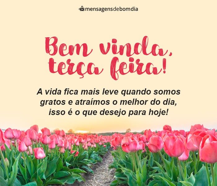 Bom Dia Terça-Feira