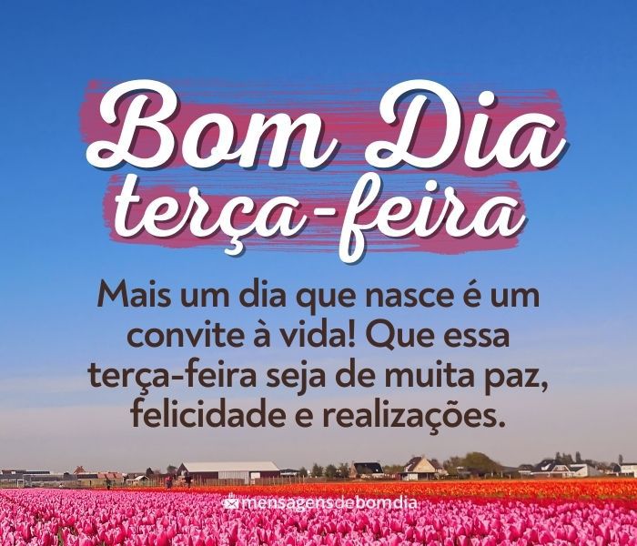 Bom Dia Terça-Feira