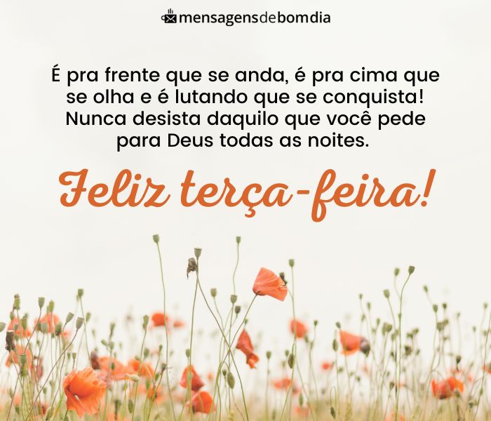 Bom Dia Terça-Feira