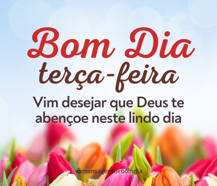 Bom Dia Terça-Feira