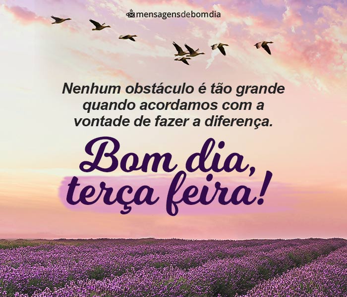 Bom Dia Terça-Feira