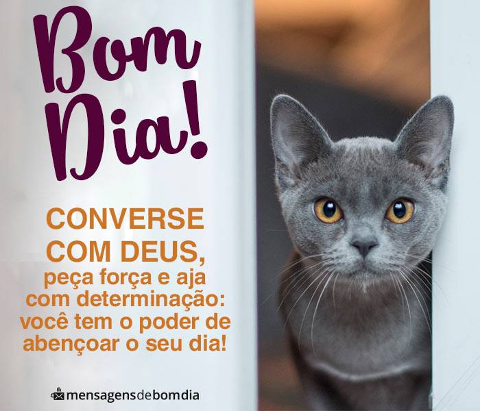 Bom Dia Abençoado por Deus