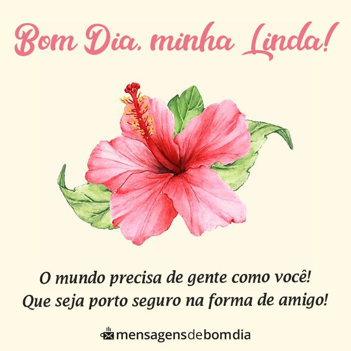 Bom Dia Minha Linda