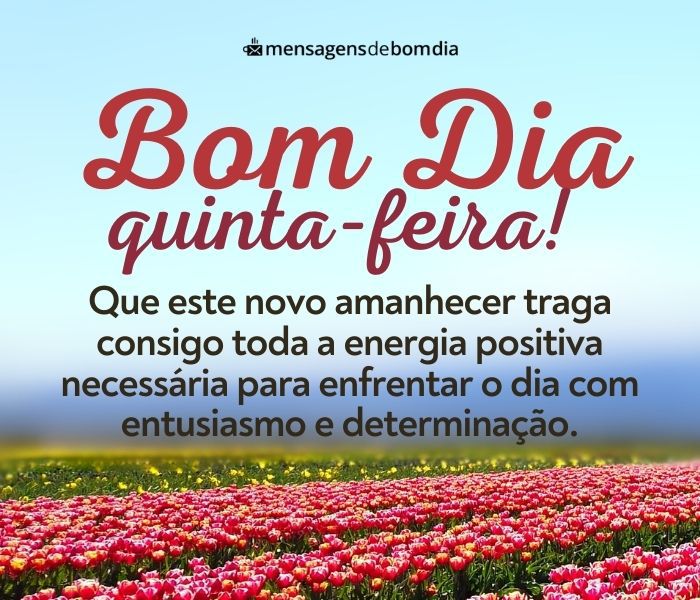 Bom Dia Quinta-Feira