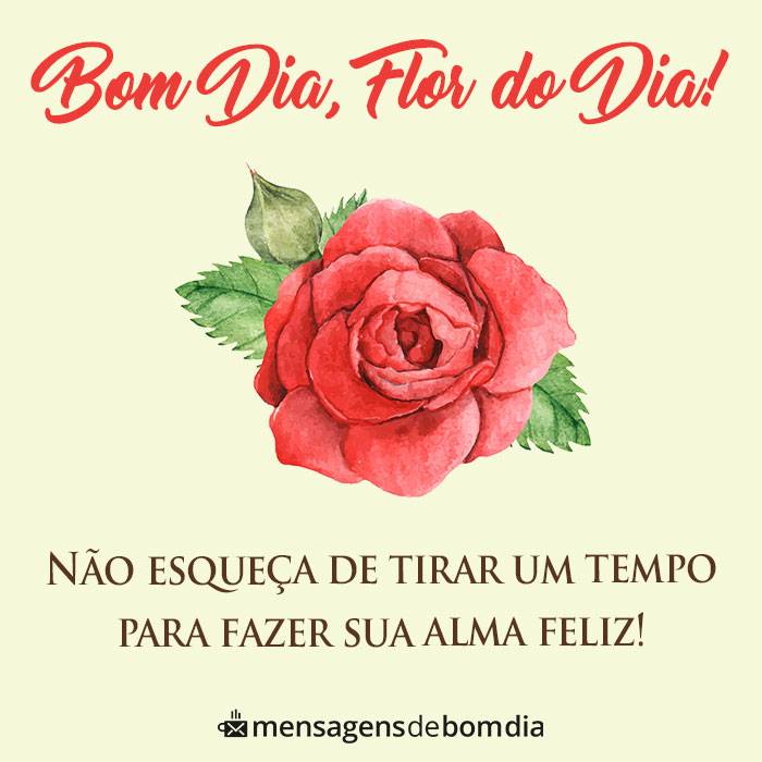 Mensagens de Bom dia Minha Flor +33 Opções para Compartilhar com Alguém Especial