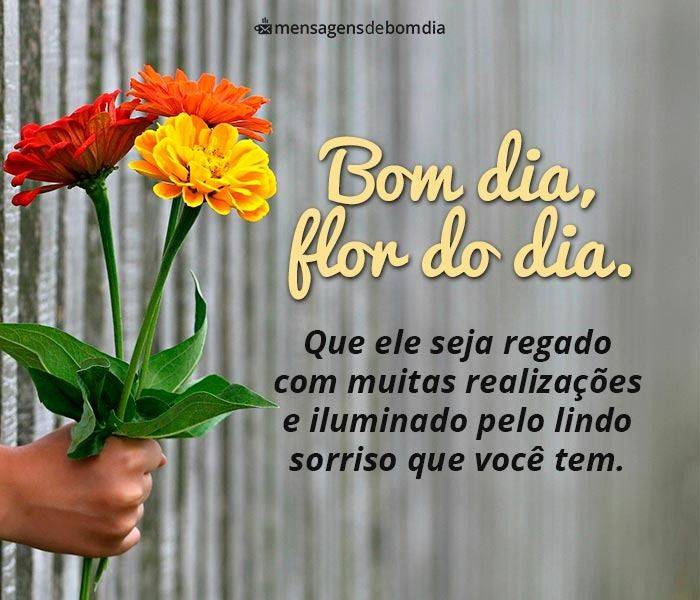 Mensagens de Bom dia Minha Flor +33 Opções para Compartilhar com Alguém Especial