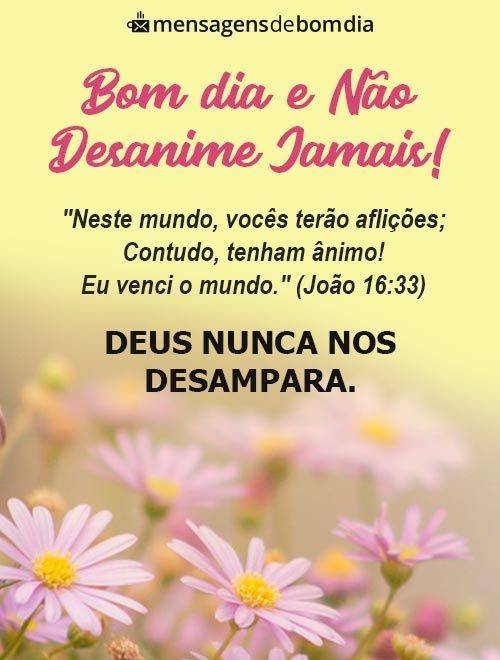 Frases Bíblicas de Bom Dia +49 Opções Abençoadas para Compartilhar