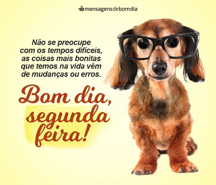 Mensagens de Bom Dia Segunda-Feira +78 Opções Prontas para Compartilhar