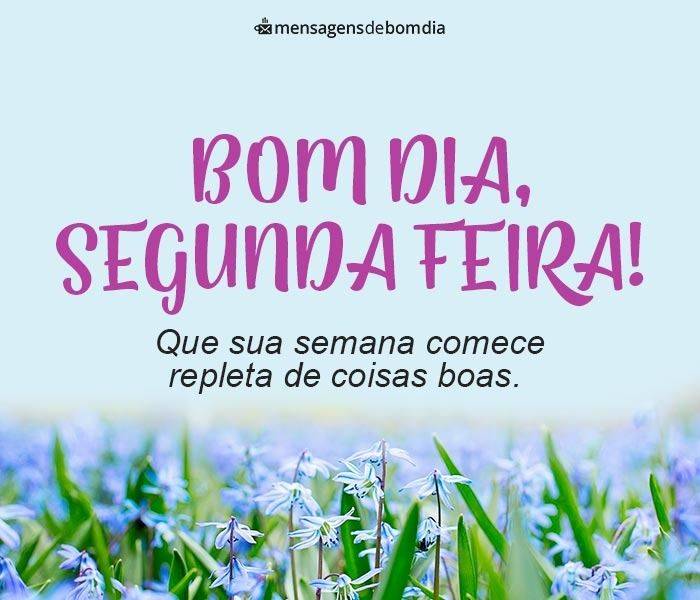 Mensagens de Bom Dia Segunda-Feira +78 Opções Prontas para Compartilhar