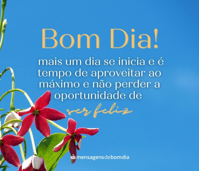 Frases de Bom Dia