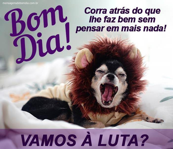 Bom Dia! Vamos à Luta?