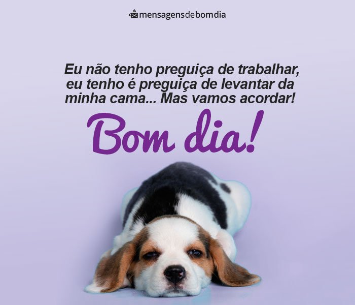 Bom Dia Engraçado para Whatsapp