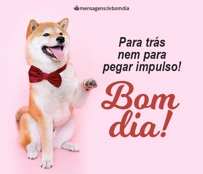 Bom Dia Engraçado para Whatsapp