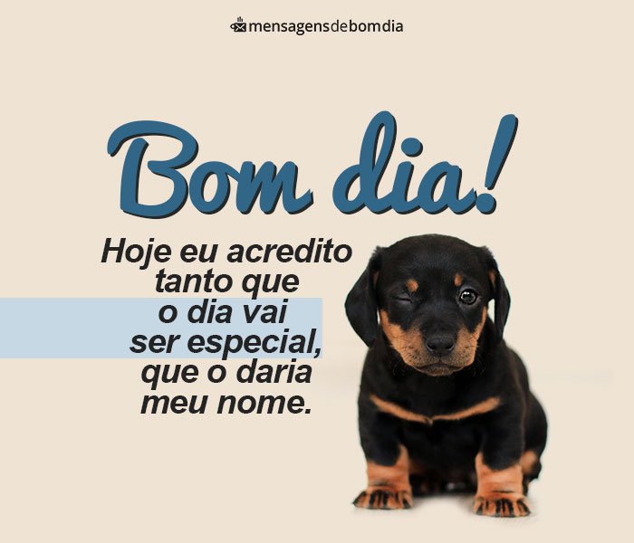 Bom Dia Engraçado para Whatsapp