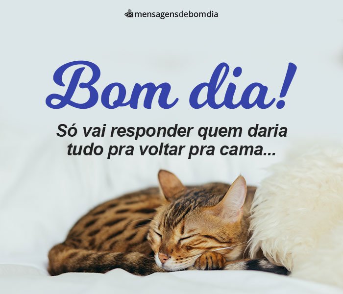 Bom Dia Engraçado para Whatsapp