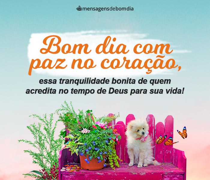 Mensagens de Bom Dia com Paz