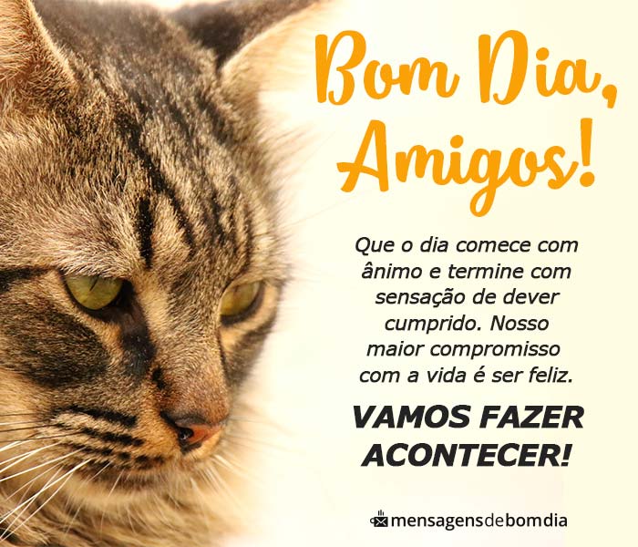 Frases de Bom Dia para Amigos