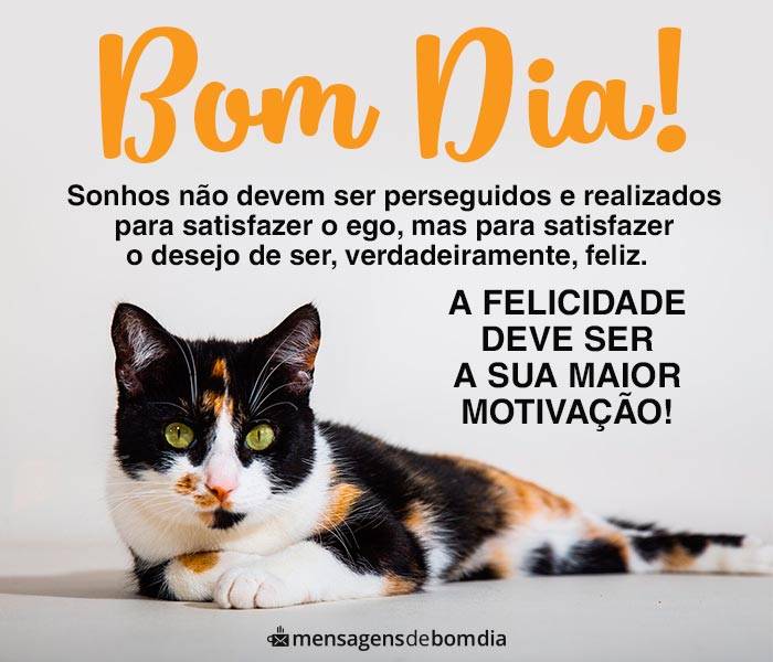 Bom dia com Motivação