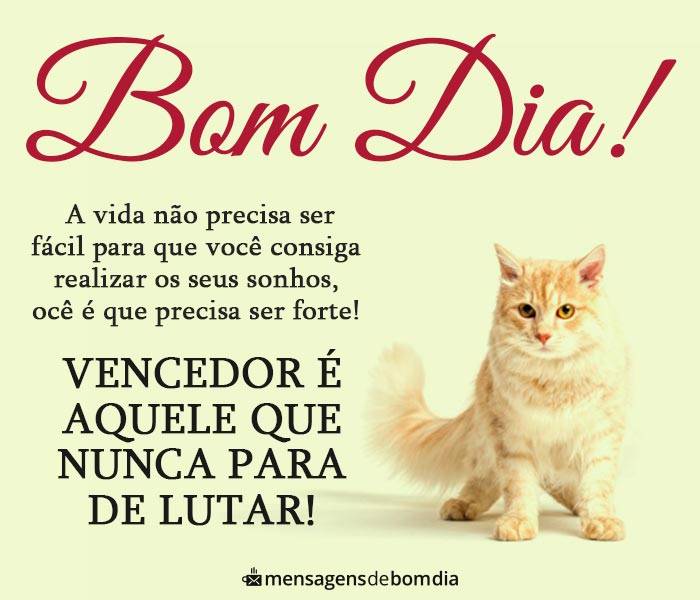 Bom dia com Motivação