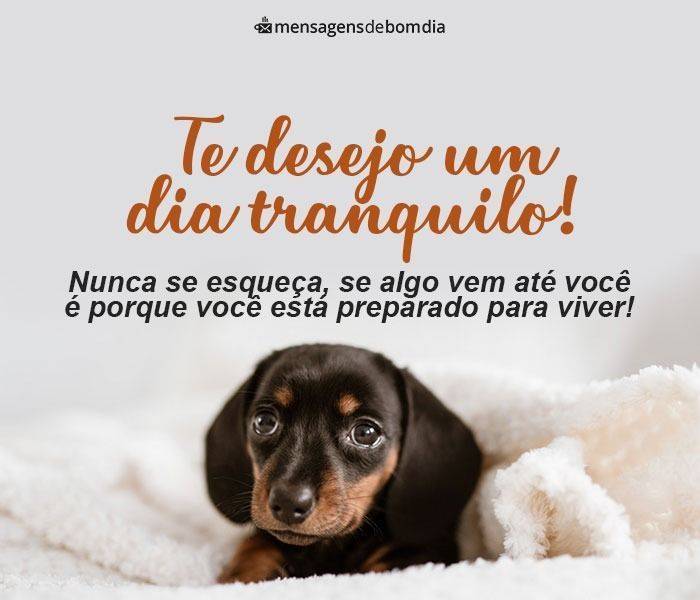 133 Mensagens de Bom dia (para o dia de hoje)