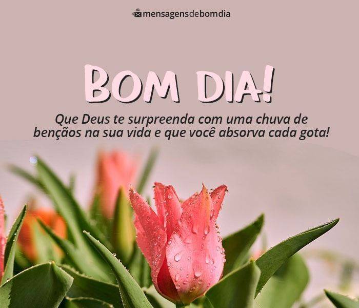 133 Mensagens de Bom dia (para o dia de hoje)