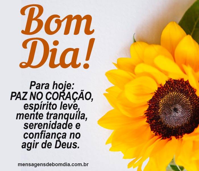 133 Mensagens de Bom dia (para o dia de hoje)