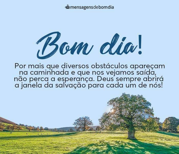 133 Mensagens de Bom dia (para o dia de hoje)