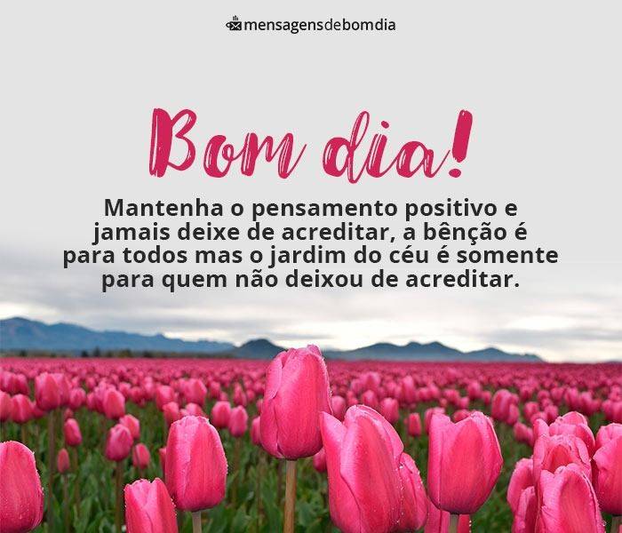 133 Mensagens de Bom dia (para o dia de hoje)