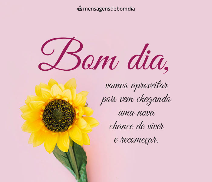 133 Mensagens de Bom dia (para o dia de hoje)