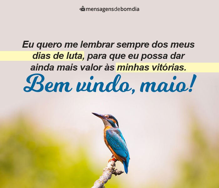 Seja Bem-Vindo Maio!