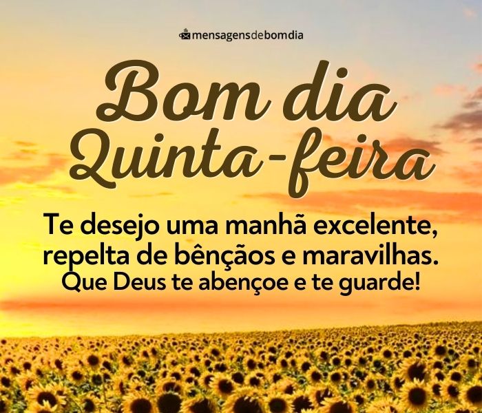 Bom Dia Quinta-Feira