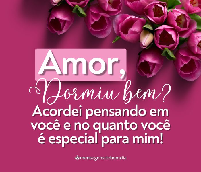 Bom Dia Amor, Dormiu Bem?