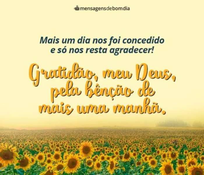 Frases de Bom Dia Abençoado por Deus