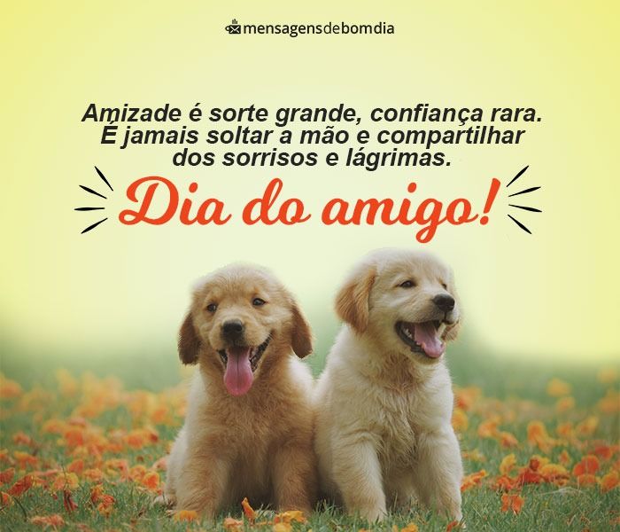 Feliz Dia do Amigo