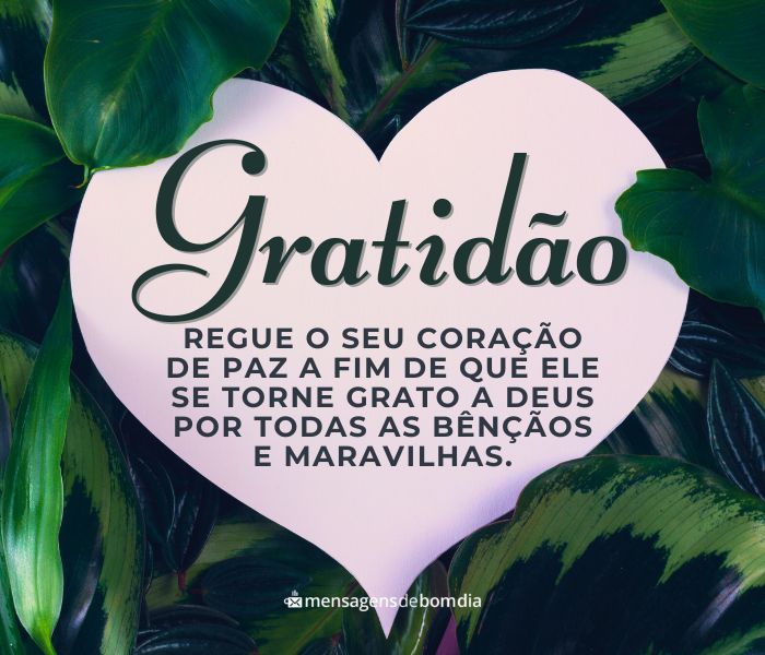 Bom dia Agradecendo a Deus