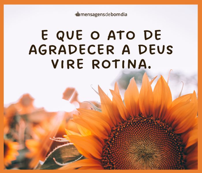 Bom dia Agradecendo a Deus