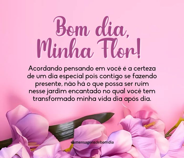 Mensagens de Bom dia Minha Flor +33 Opções para Compartilhar com Alguém Especial