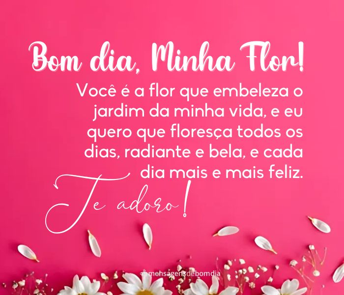 Mensagens de Bom dia Minha Flor +33 Opções para Compartilhar com Alguém Especial