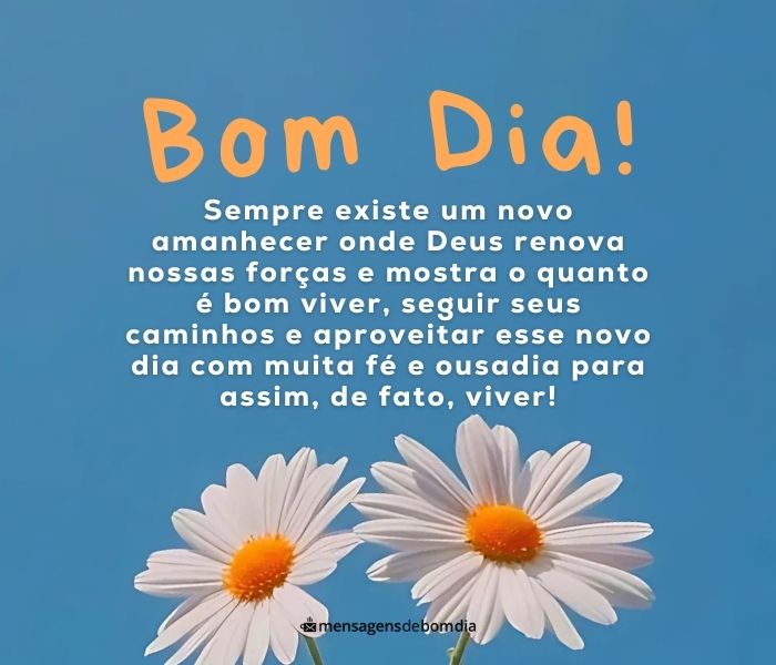 Poemas de Bom Dia +39 Opções de Mensagens para Compartilhar Assim que Despertar!