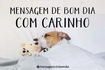 Imagem do post Mensagem de Bom Dia com Carinho