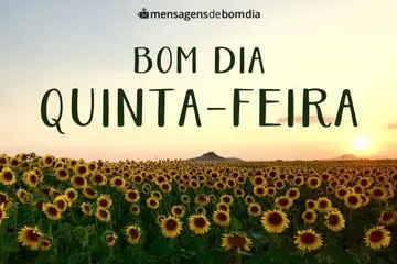 Imagem do post relacionado: Bom Dia Quinta-Feira