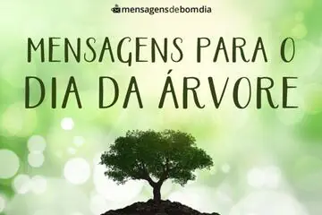 Imagem do post relacionado: Frases e Mensagens para Dia da Árvore - 21 de Setembro