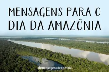 Imagem do post relacionado: Frases para Dia da Amazônia (05/09)